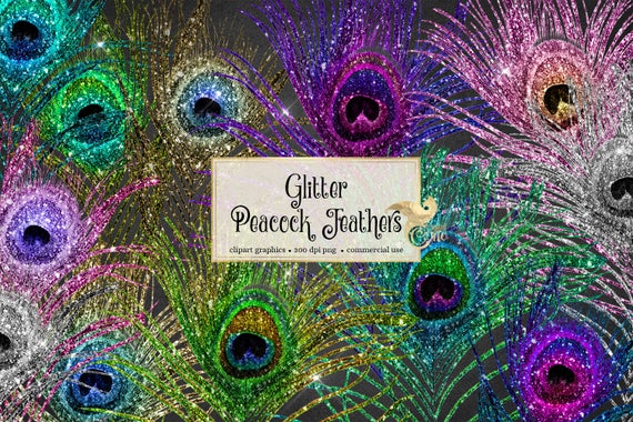 Peacock clipart glitter. Feather digital feathers graphics