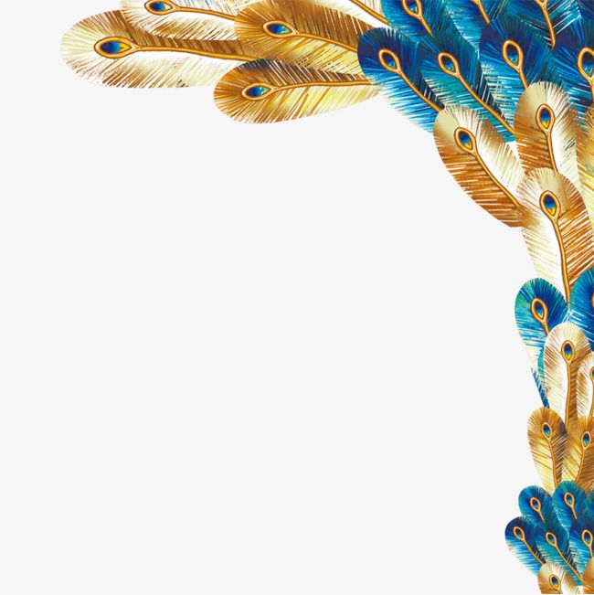 Peacock clipart gold peacock. Feather png 