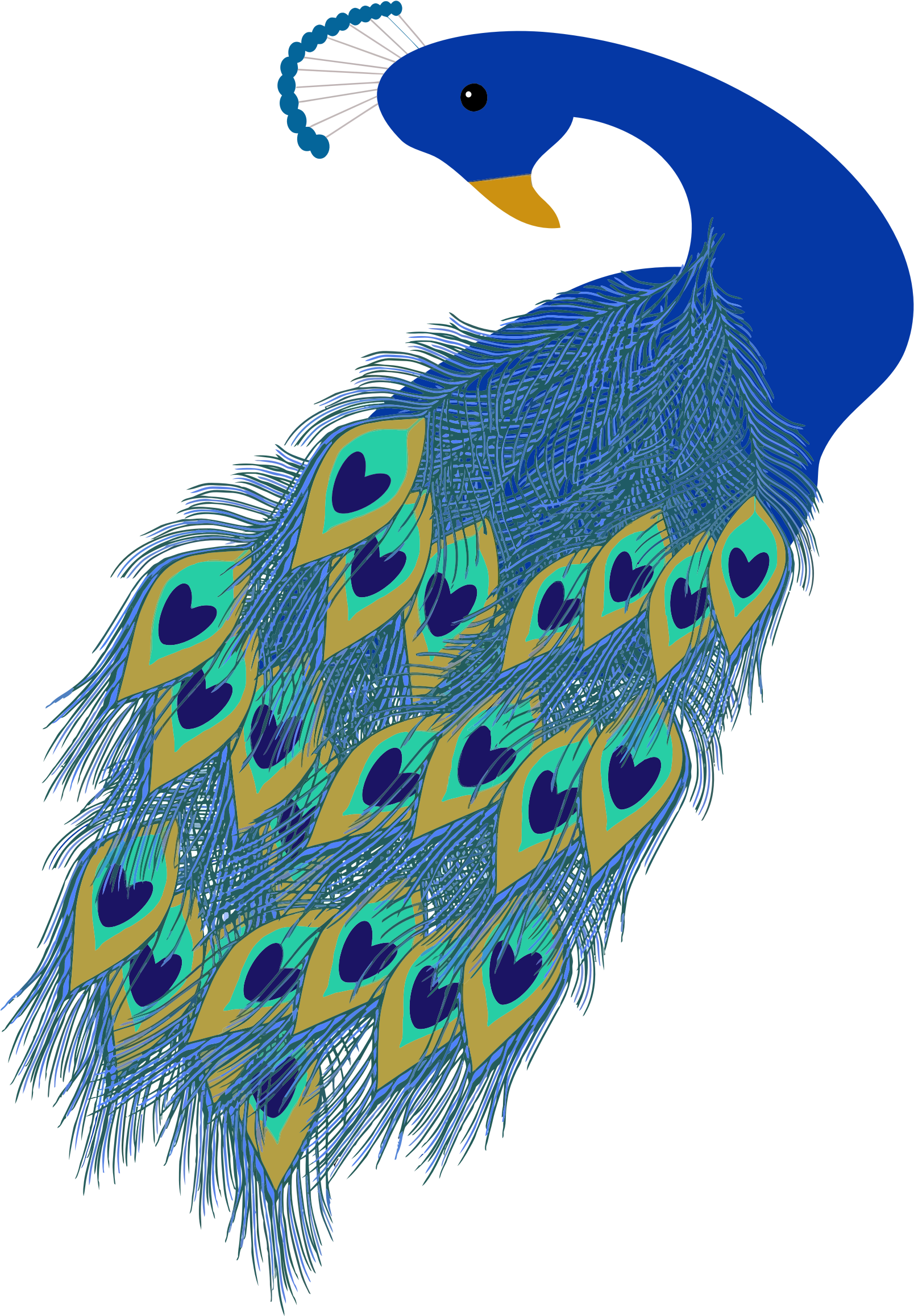 peacock clipart head