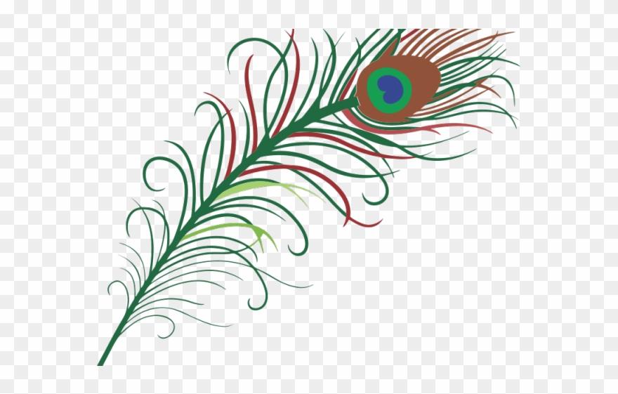 peacock clipart high quality