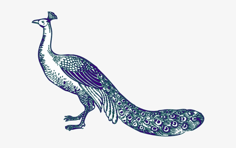 peacock clipart hindu