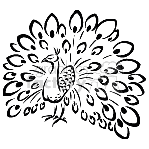 Anmls b bw royalty. Peacock clipart line art