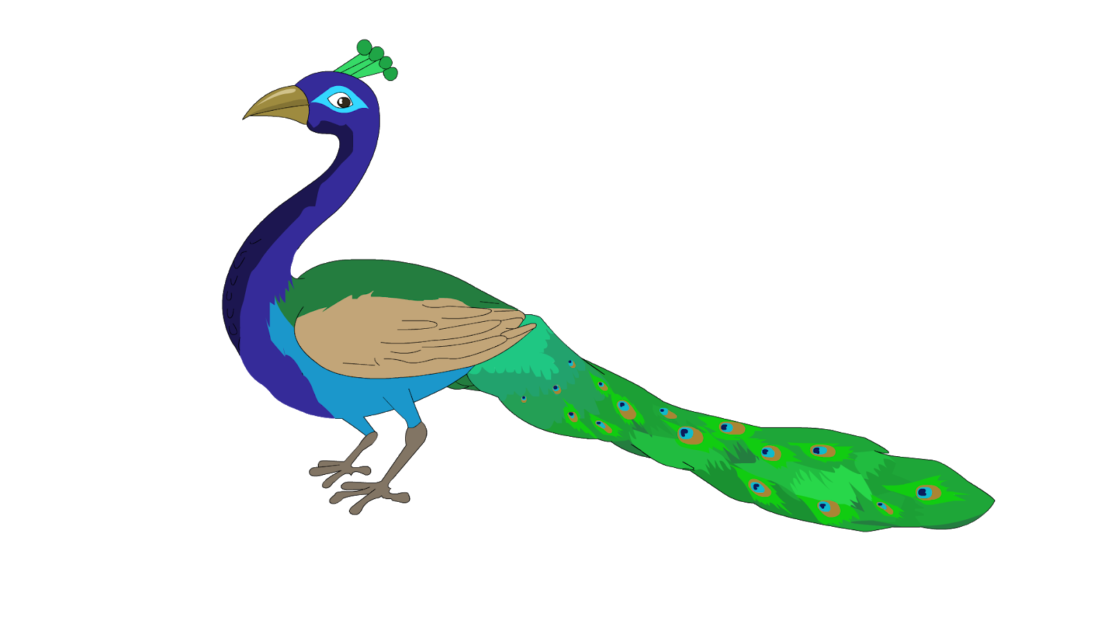 peacock clipart national indian bird