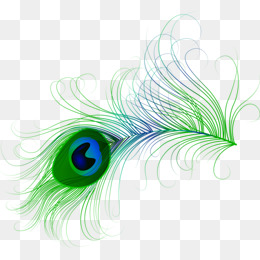 Peacock clipart pankh. Feather png vectors psd