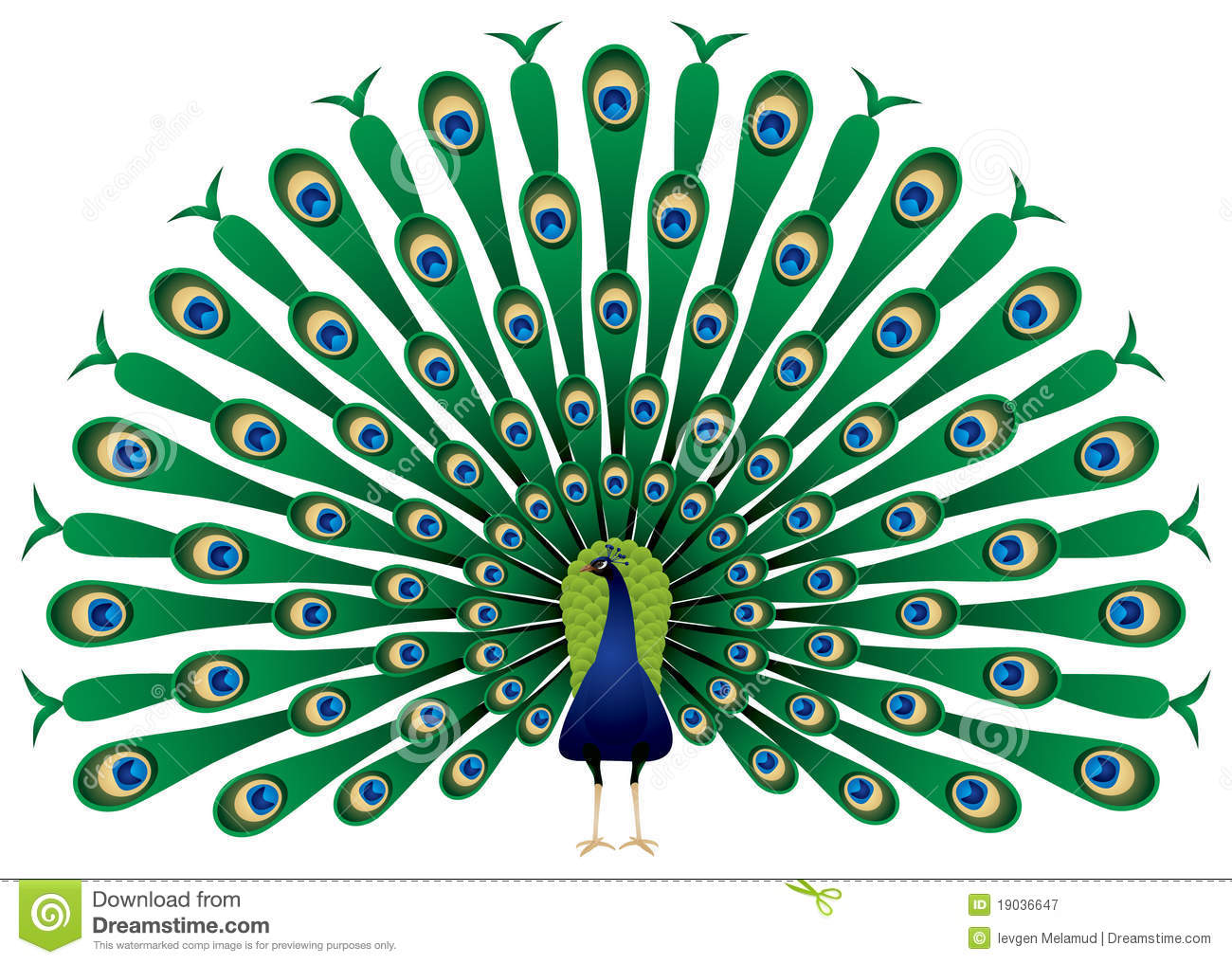  clip art clipartlook. Peacock clipart peacock bird