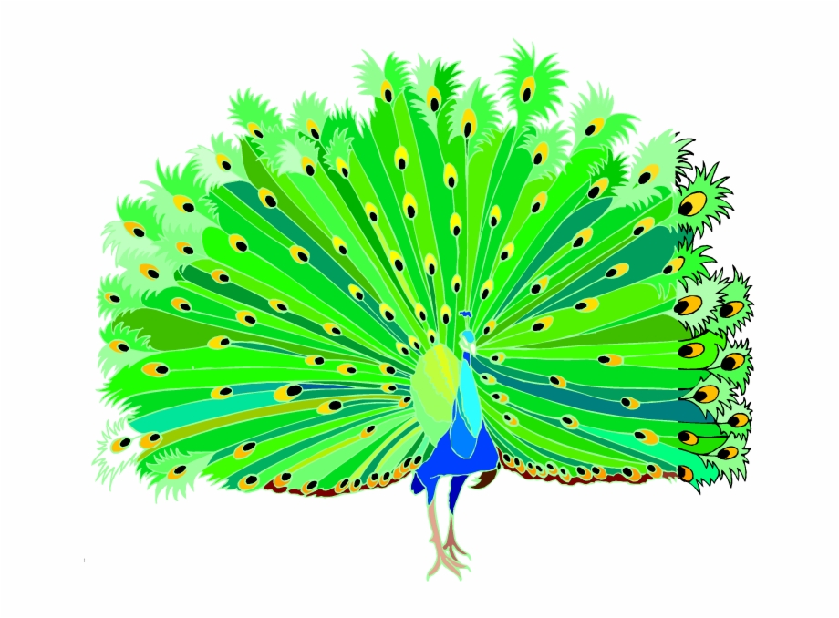 Peacock clipart peacock dance. Dancing free png images