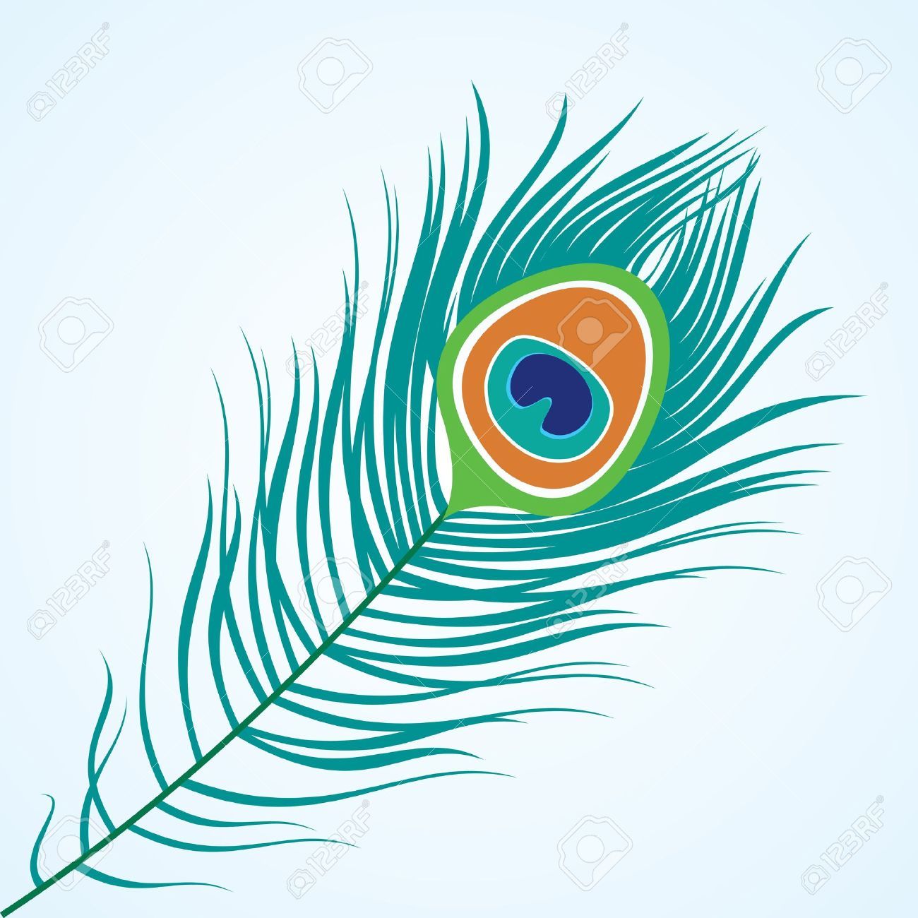 peacock clipart peacock tail