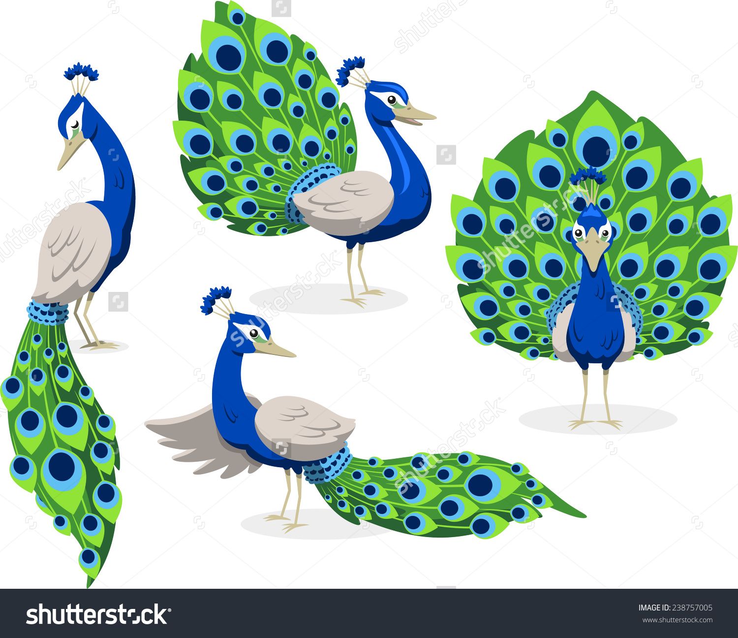 peacock clipart peahen