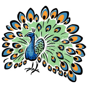 Colorful royalty free . Peacock clipart picock