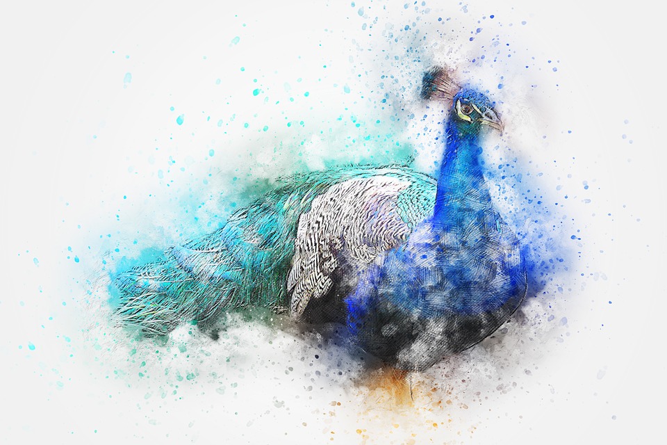 peacock clipart pixel art