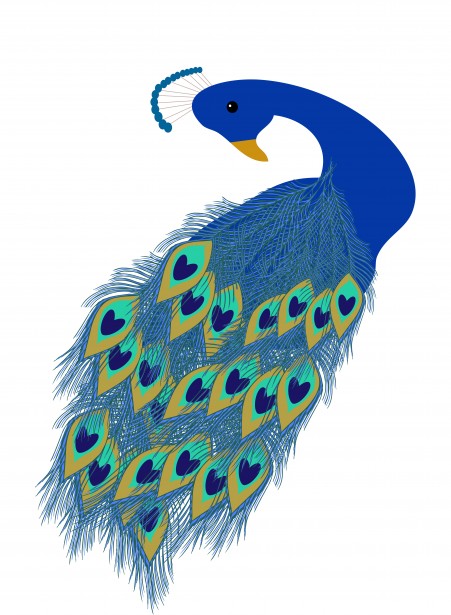 peacock clipart public domain
