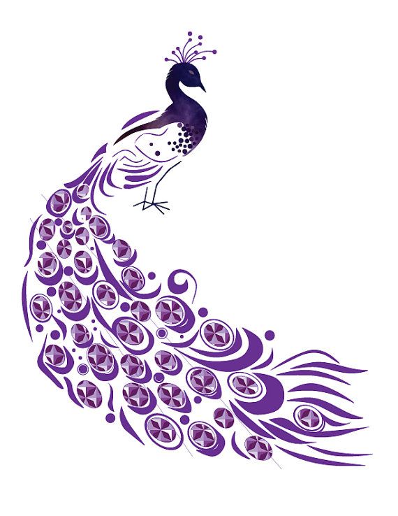 peacock clipart purple peacock