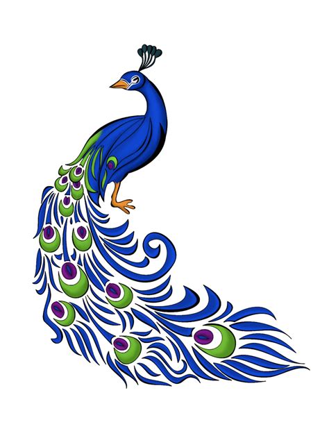 peacock clipart simplified