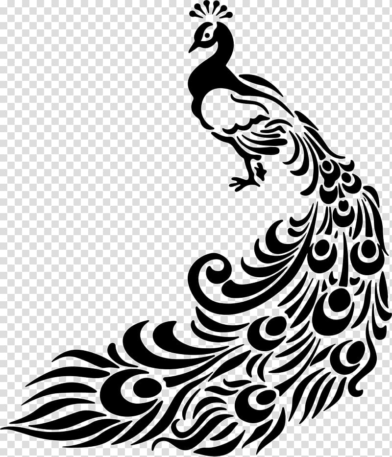 Line art peafowl drawing. Peacock clipart sketch