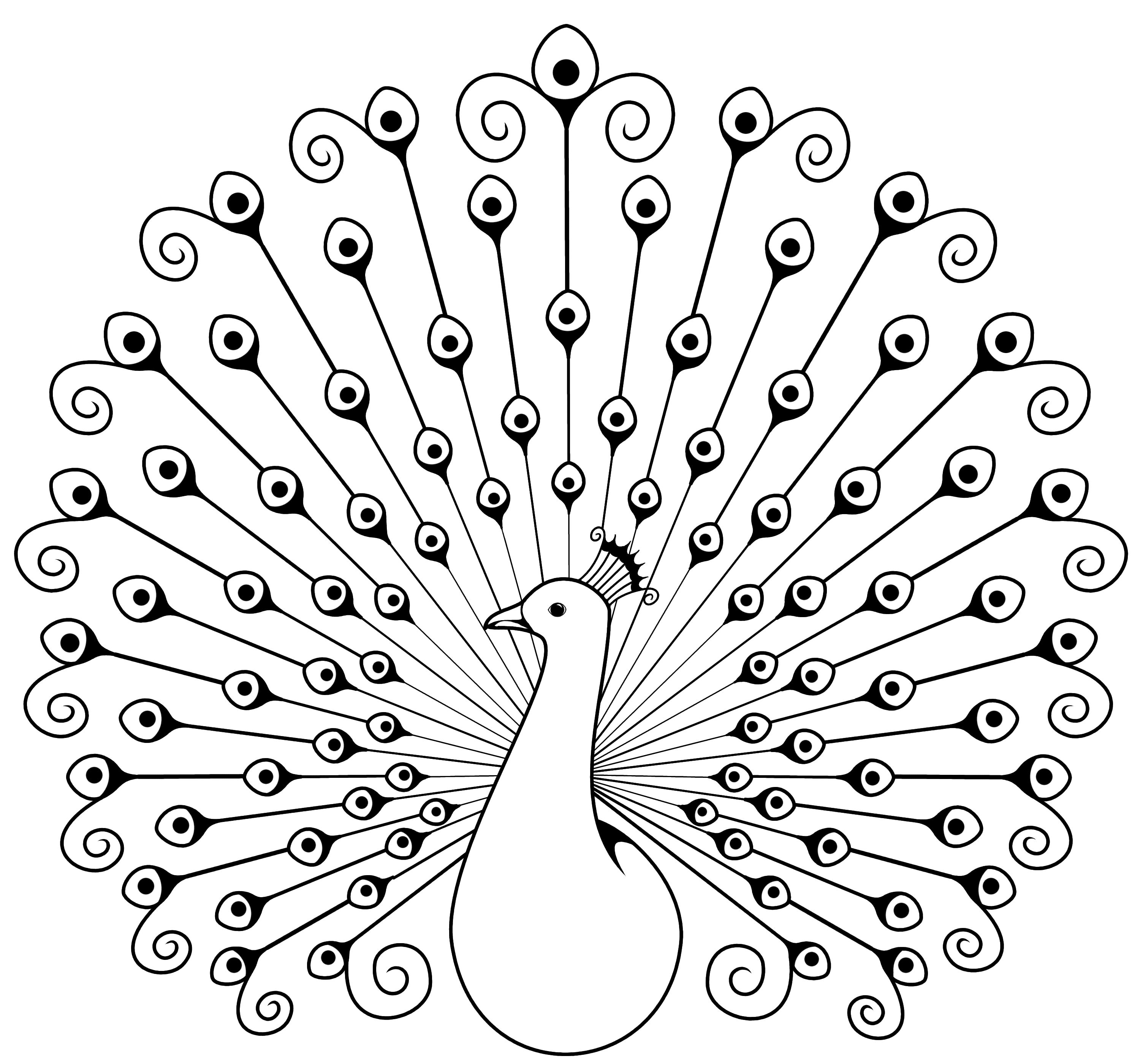 Peacock clipart sketch. A swirly butterfly coloring