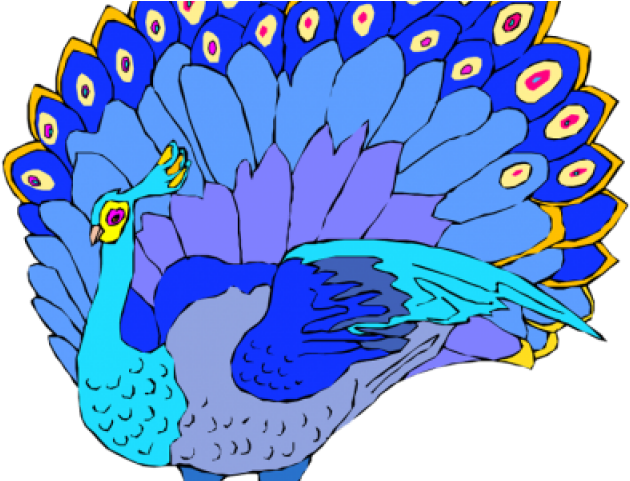 Download turkey png image. Peacock clipart summer