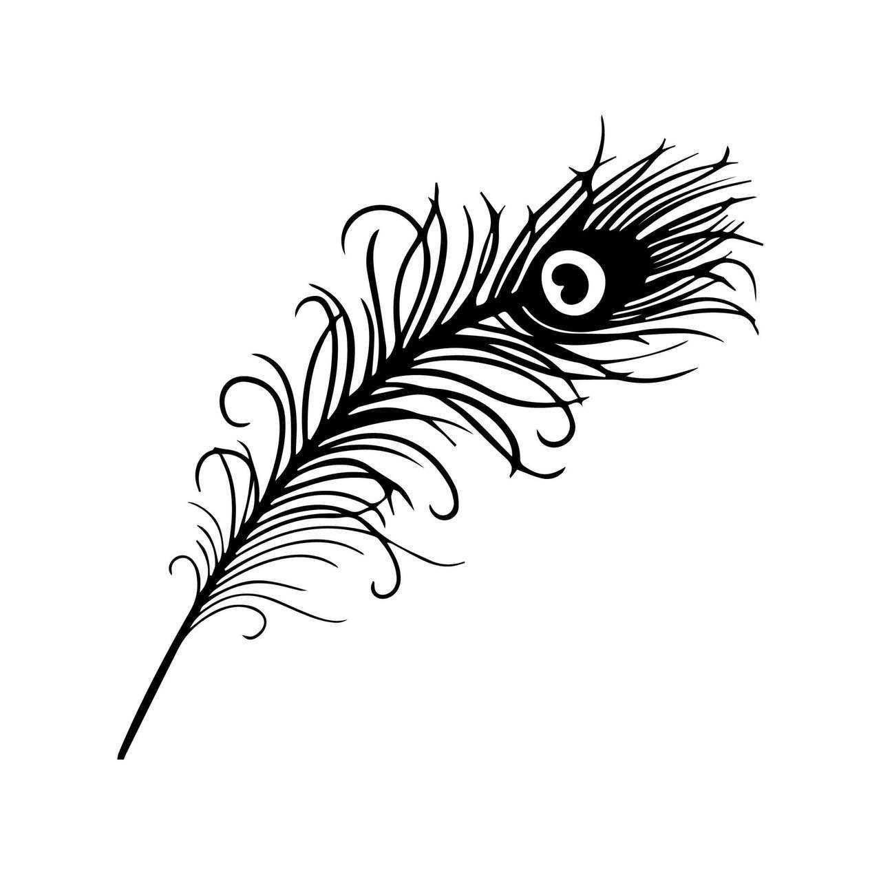Peacock clipart svg free, Peacock svg free Transparent FREE for
