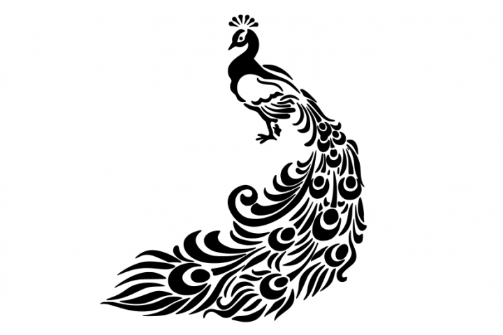 peacock clipart svg free