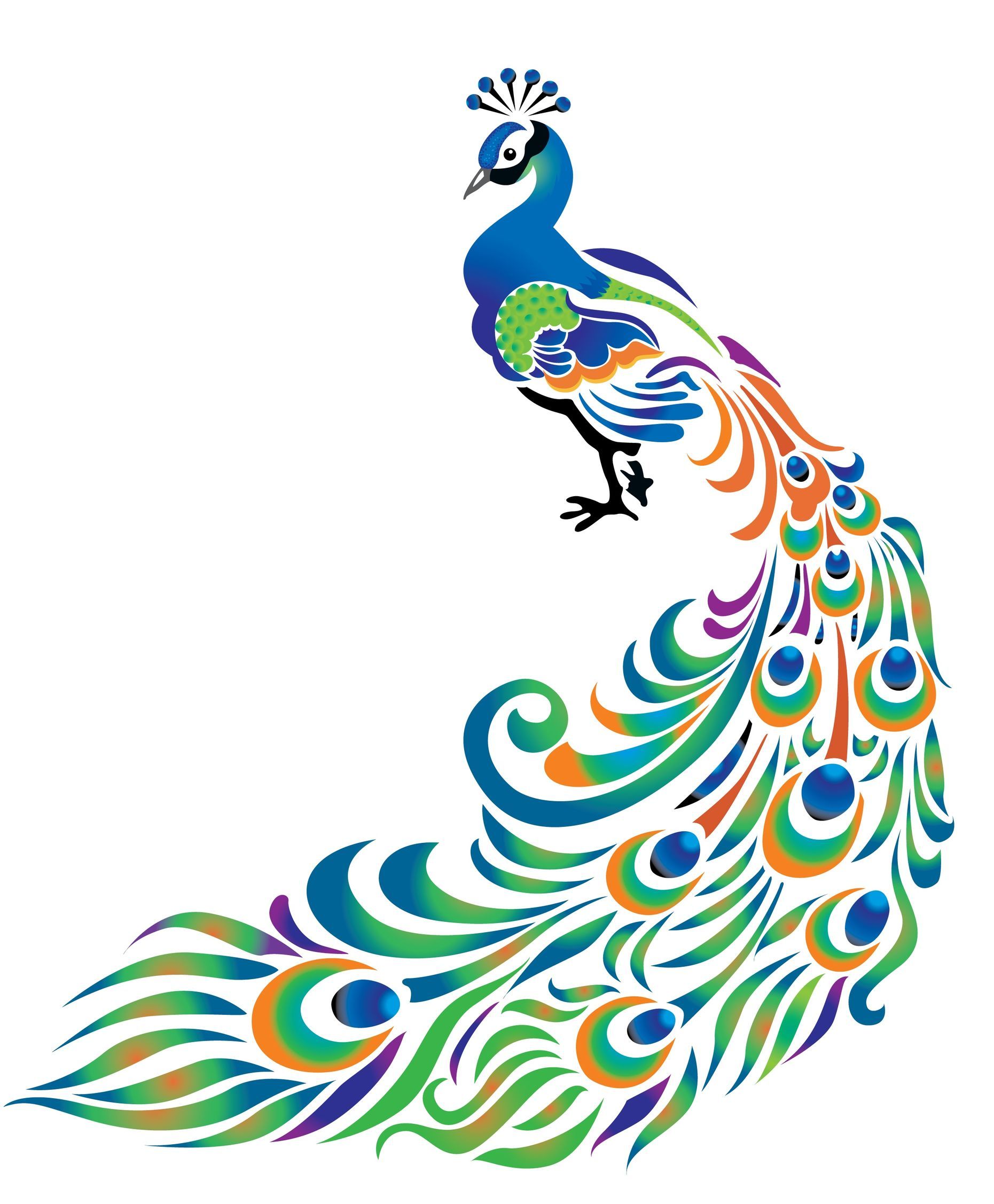 peacock clipart thermocol