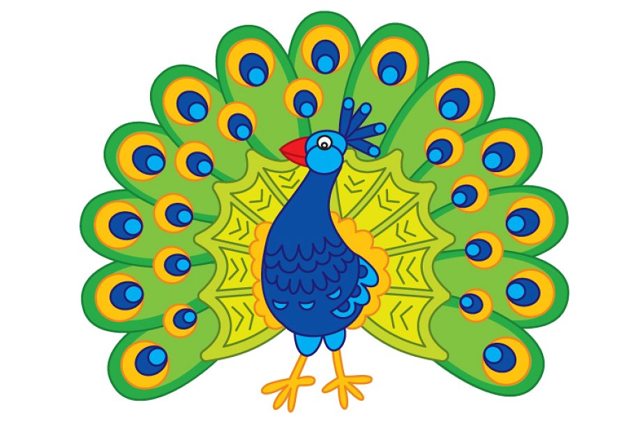 peacock clipart vector