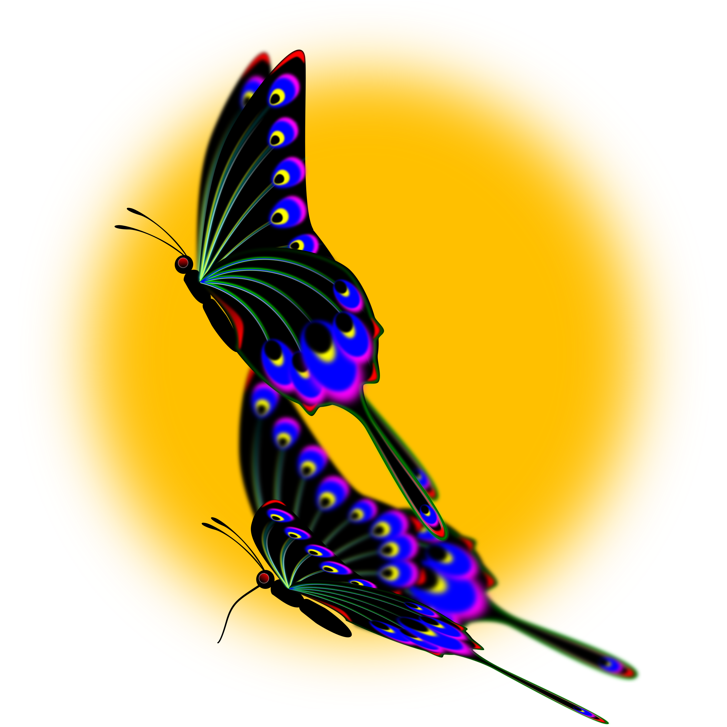 peacock clipart wing
