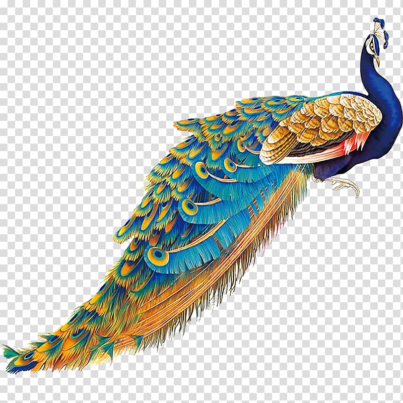 Peacock clipart wing, Peacock wing Transparent FREE for download on