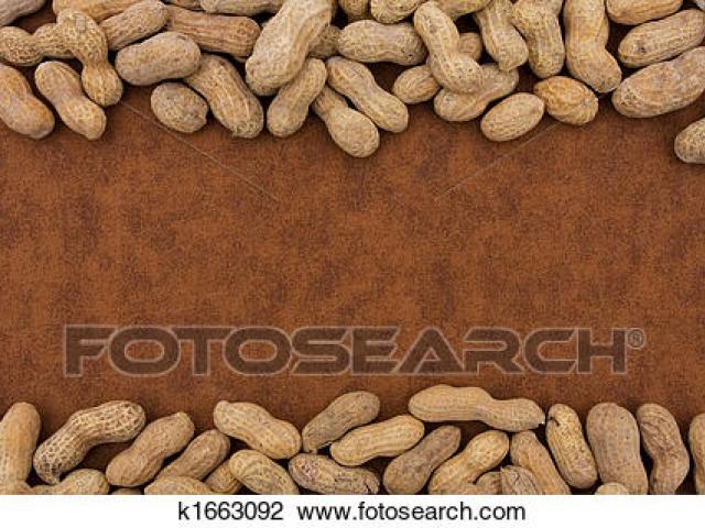 peanut clipart border