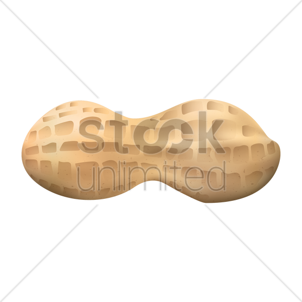 peanut clipart nutshell