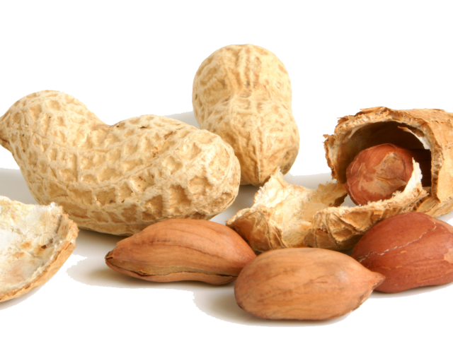 Peanut clipart peanut shell. Cliparts free download clip
