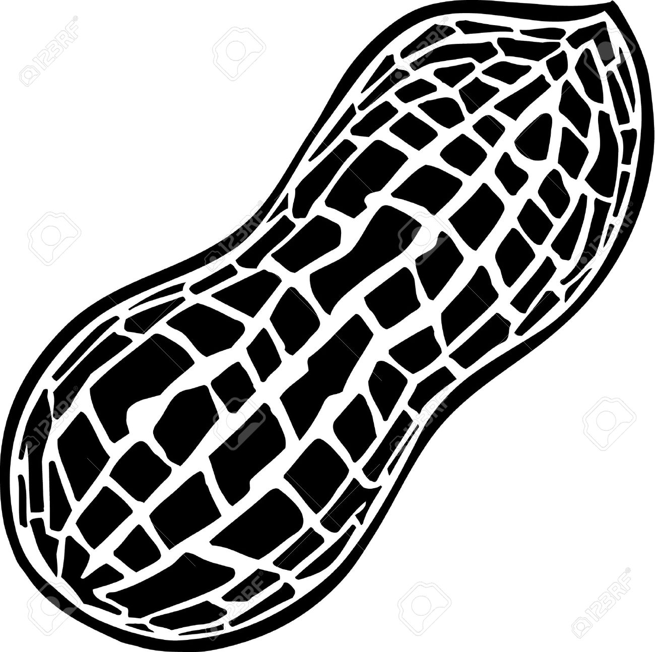 Clip art gclipart com. Peanut clipart peanut shell