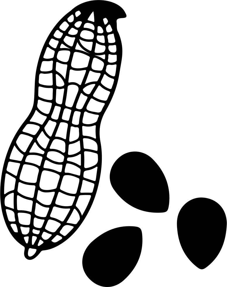 peanut clipart svg