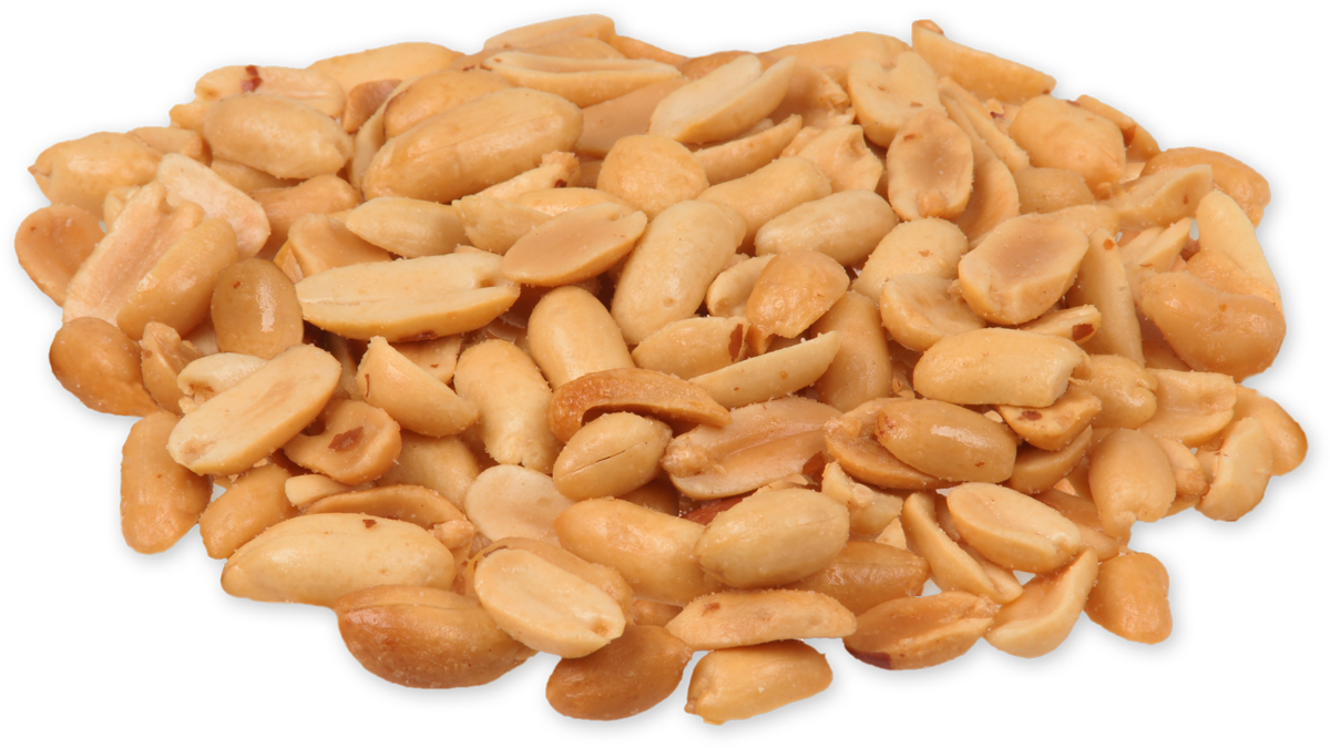 peanuts clipart groundnut