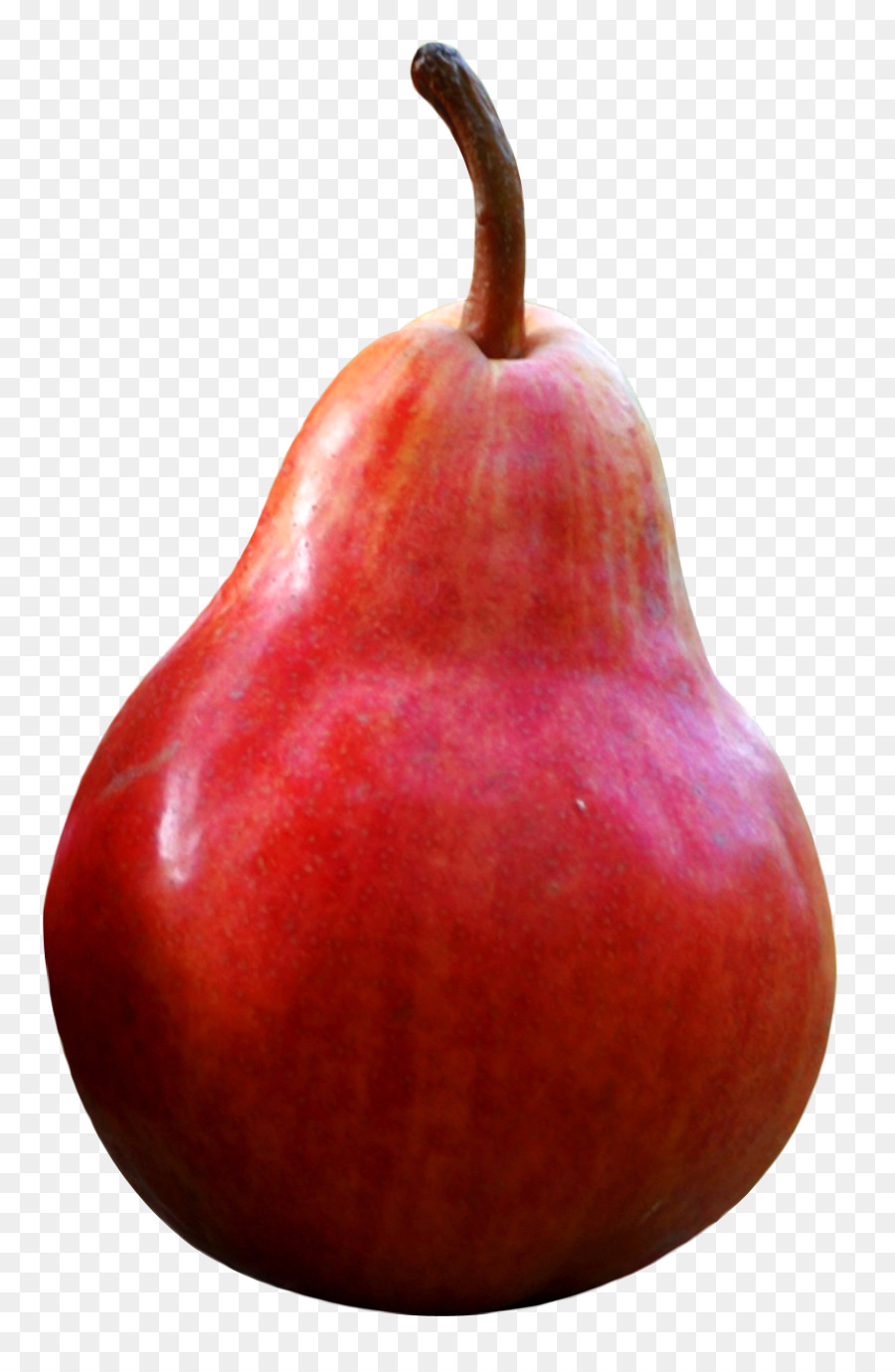 pear clipart apple pear