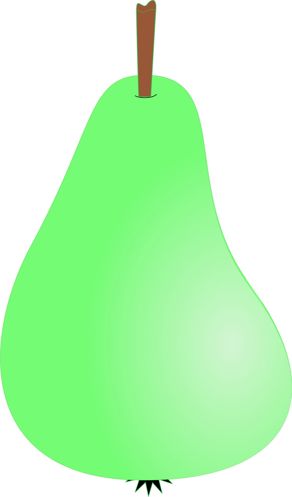 pear clipart illustrated