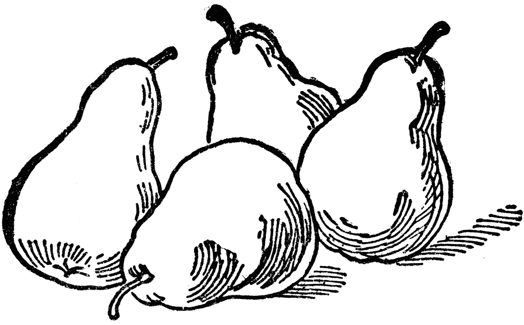 pear clipart jambu