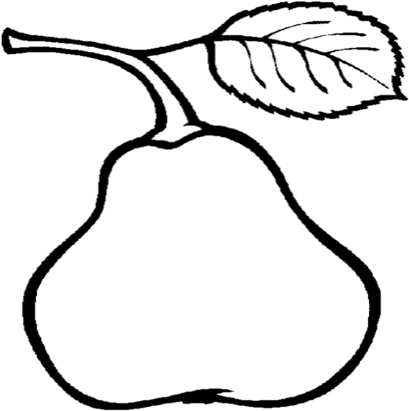 pear clipart line drawing