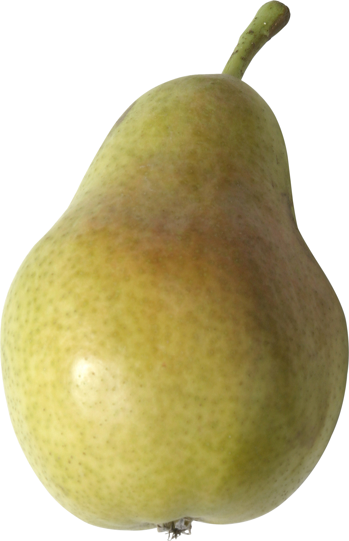 pear clipart nashpati