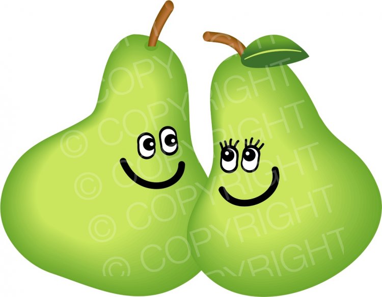 pear clipart pair pear