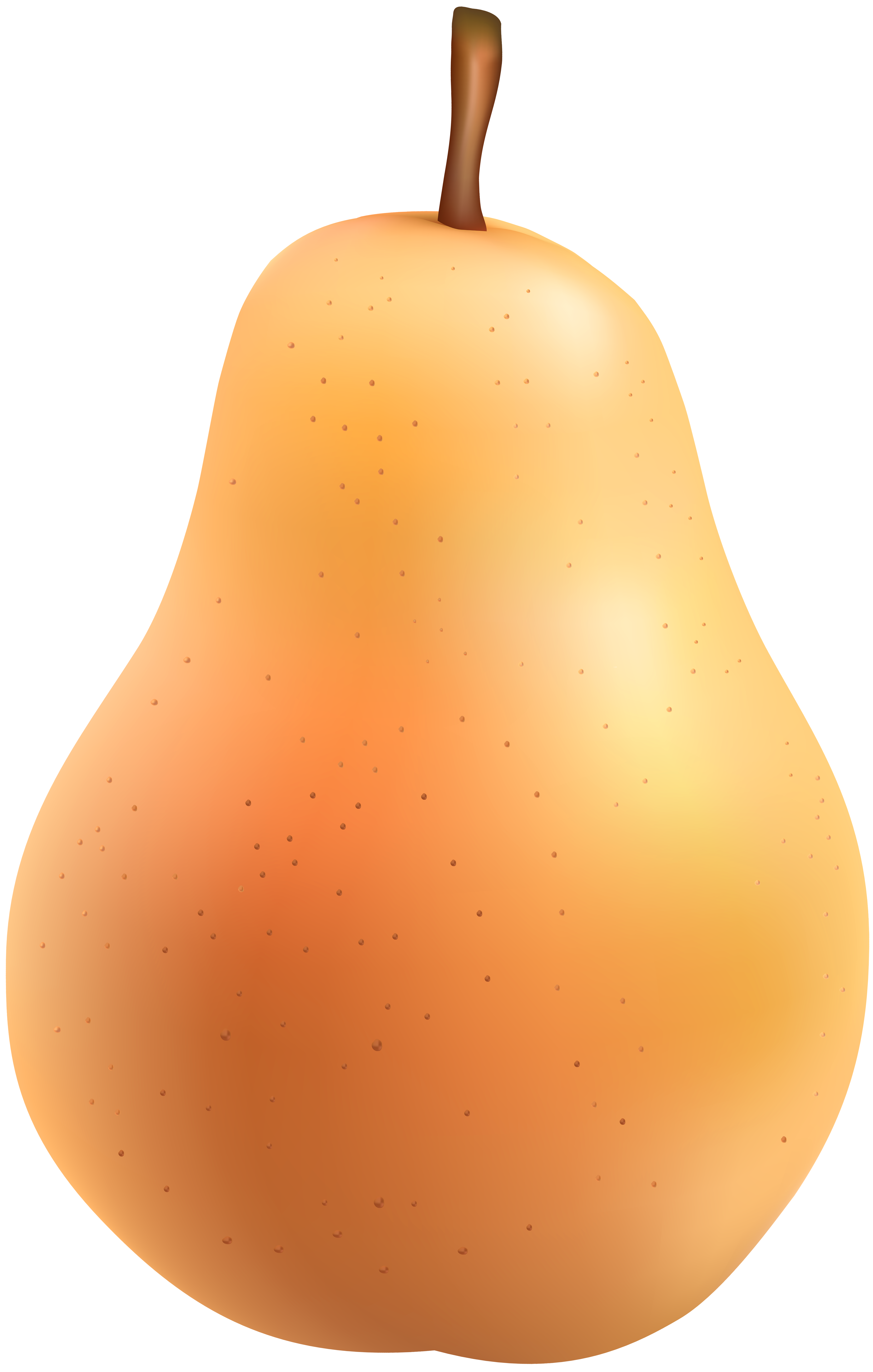 Orange pear. Груша. Оранжевая груша. Спелая груша. Груша на белом фоне.