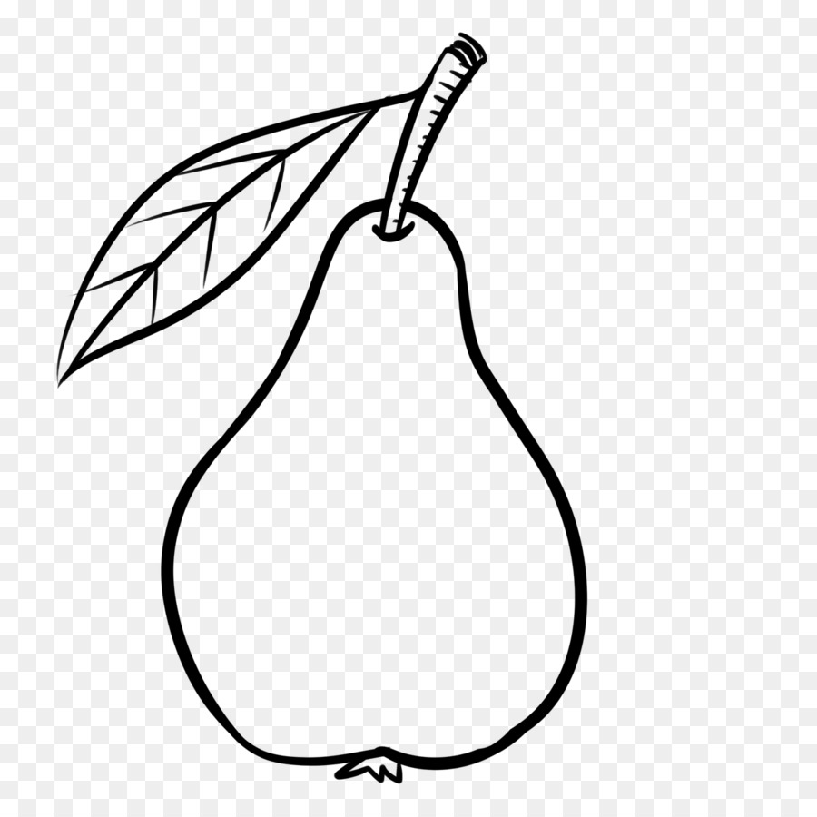 pear clipart sketch