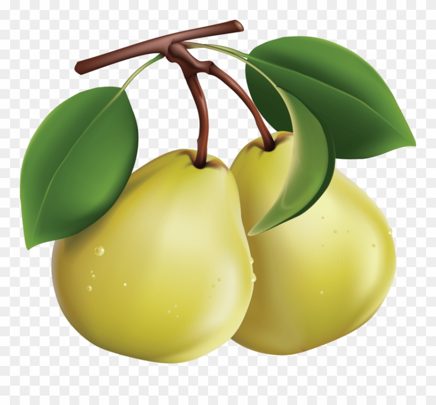 pear clipart two