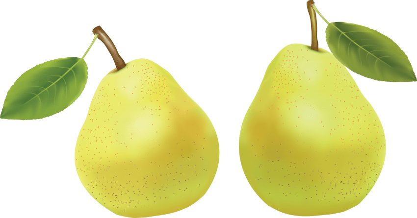 pear clipart yellow pear