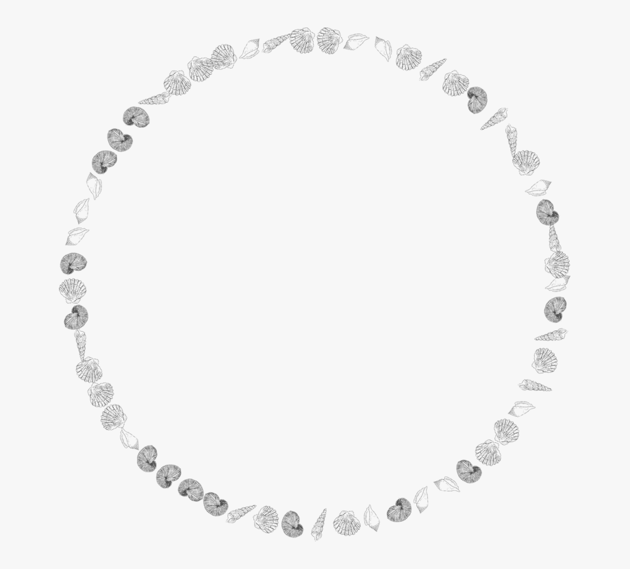 Shells free . Pearl clipart silver necklace