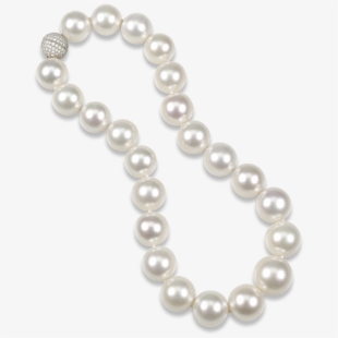 Pearl necklace transparent . Pearls clipart strand