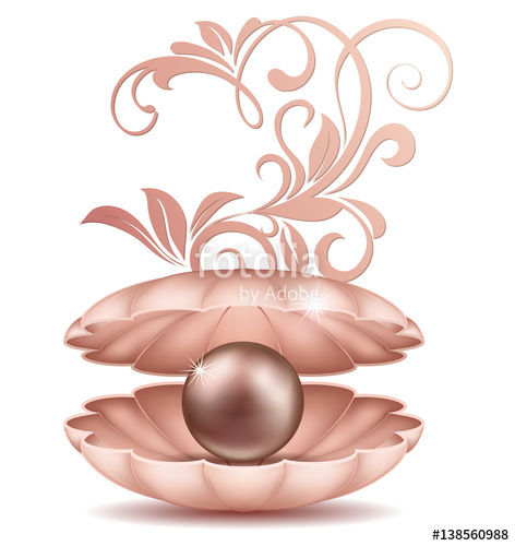 pearls clipart shell sea pearl