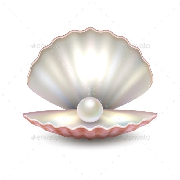 pearls clipart shell sea pearl