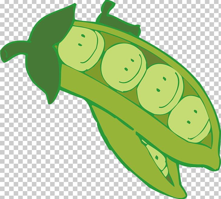 Peas clipart cartoon. Fruit pea bean png