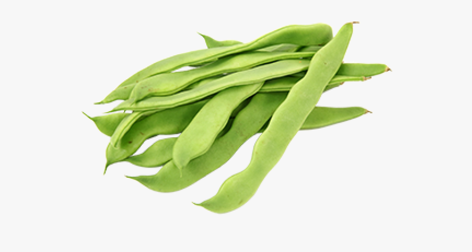 Peas clipart cowpea. Bean hyacinth beans cliparts