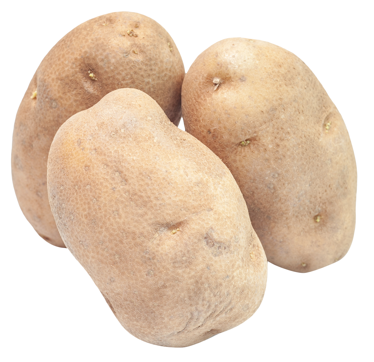 Potato clipart high resolution. Png image purepng free