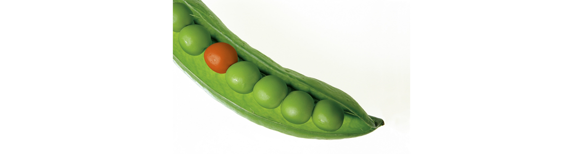 Peas clipart fava bean. Elearning industry news course